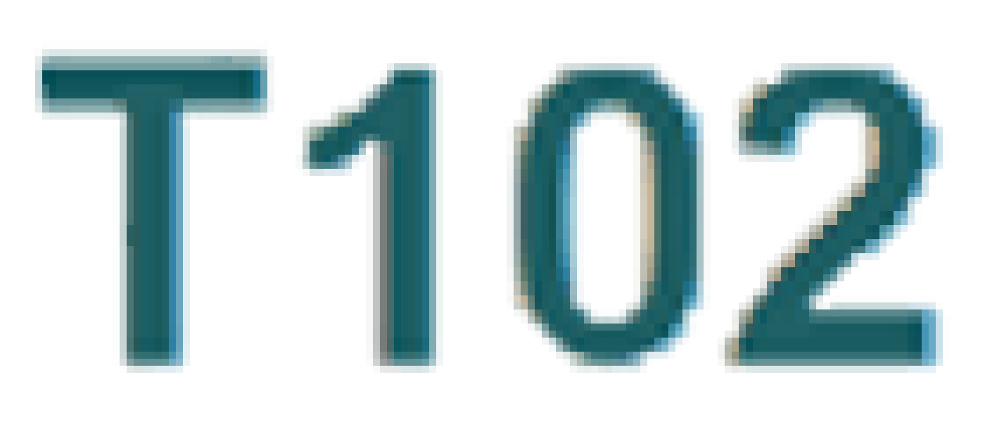 T102