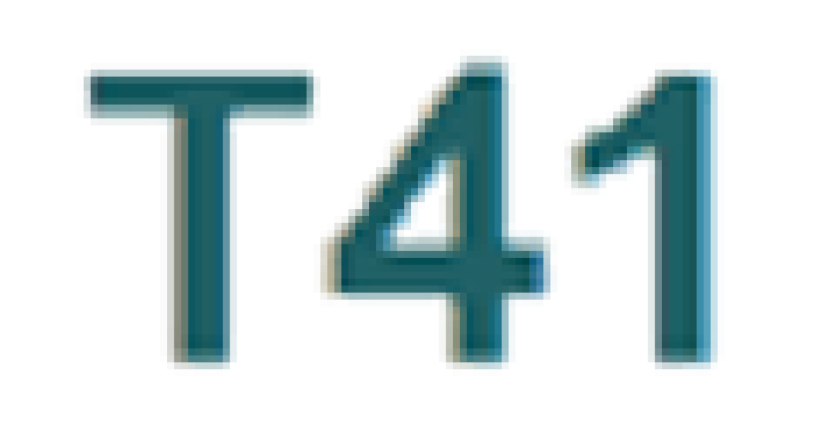 T41