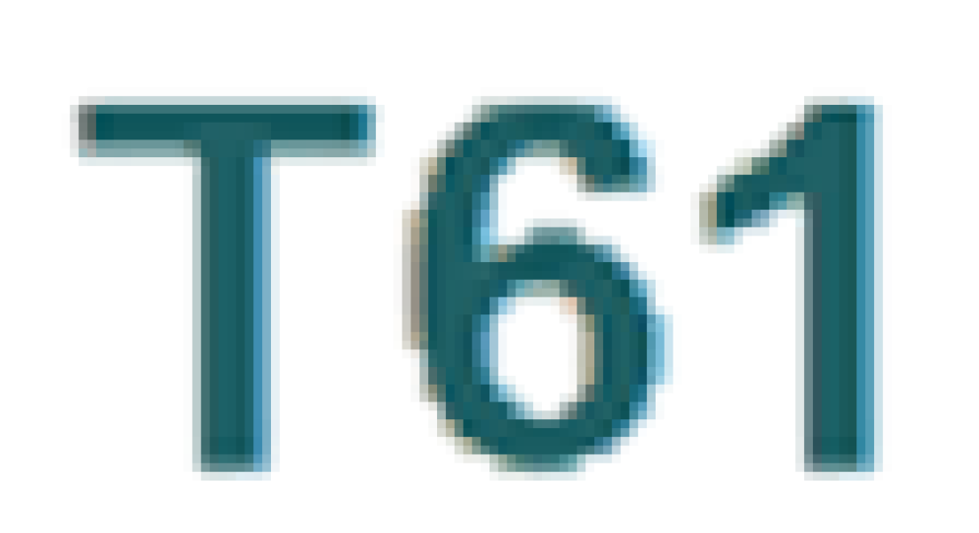 T61