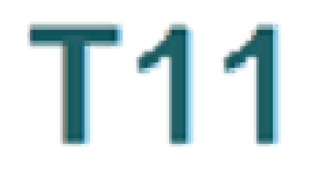 T11