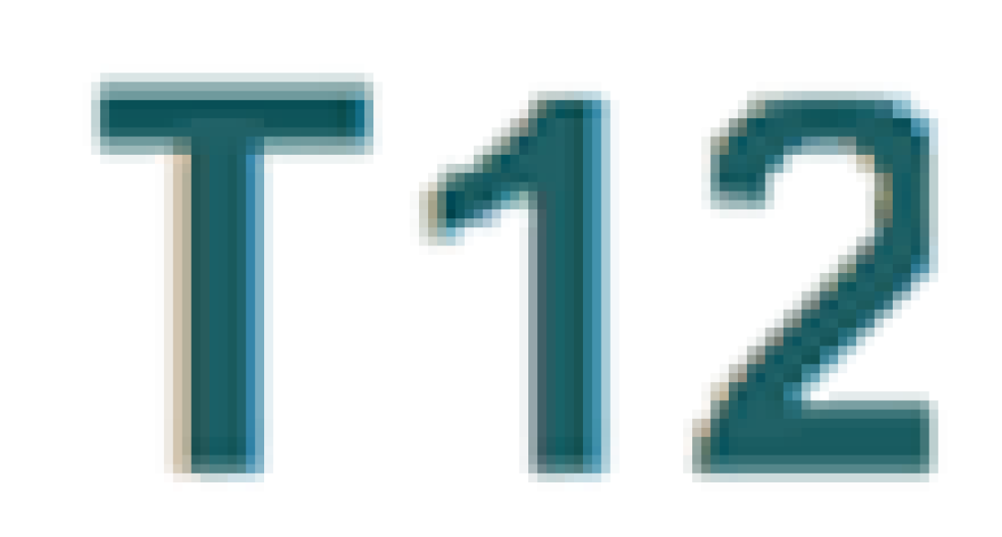 T12