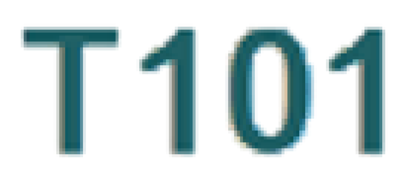 T101