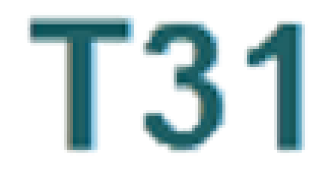 T31